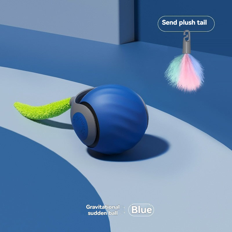 Automatic Cat Ball