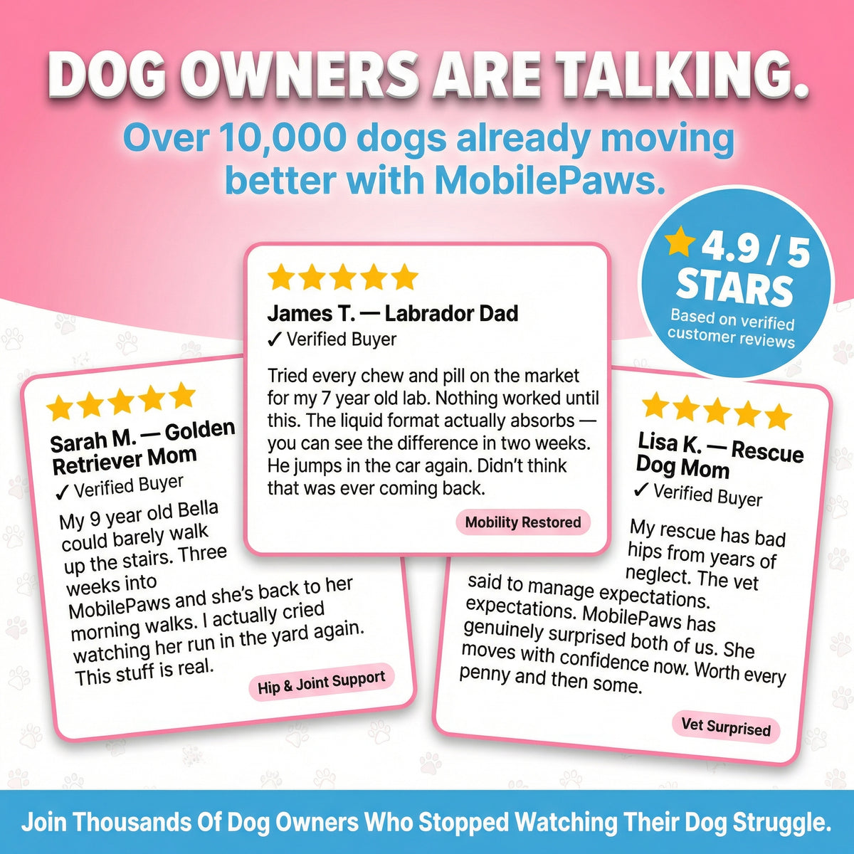 MobilePaws