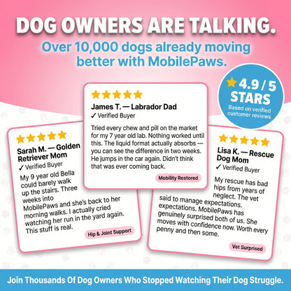 MobilePaws
