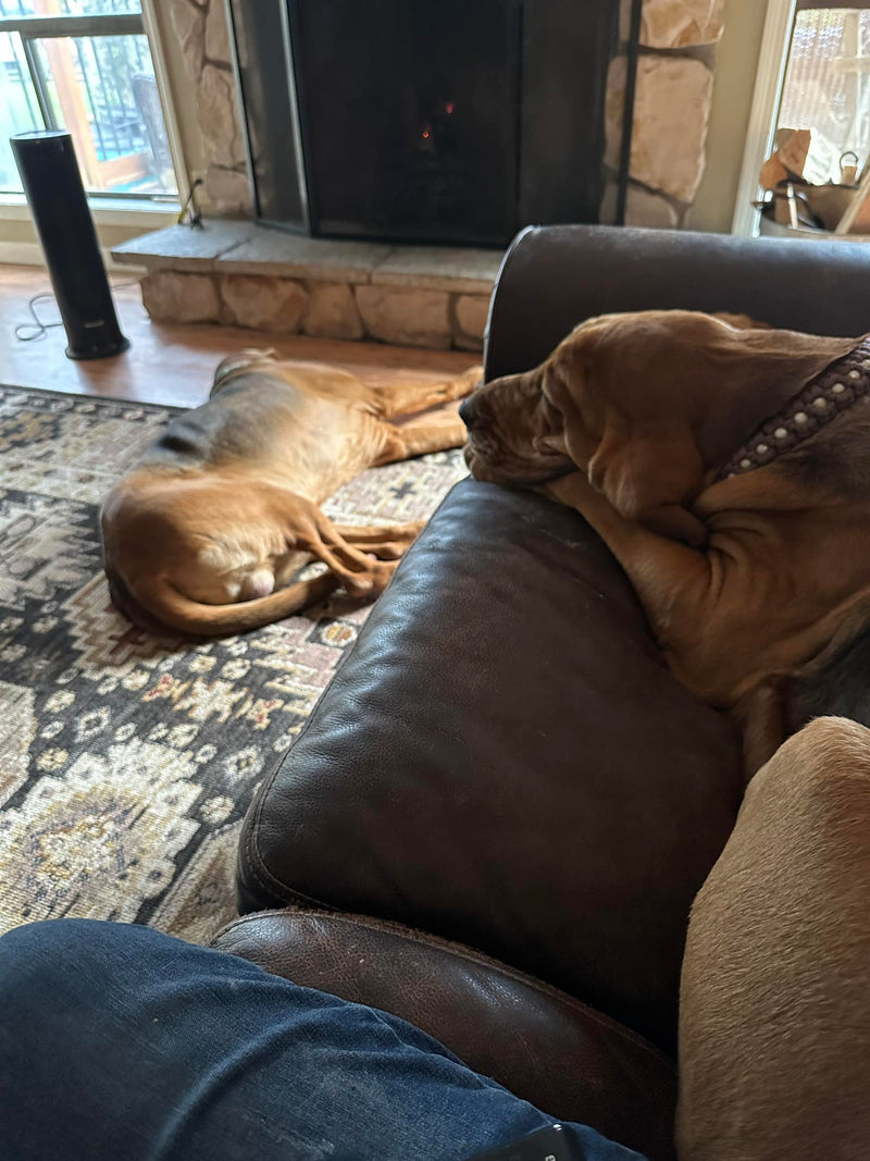 Whole house is quieter now