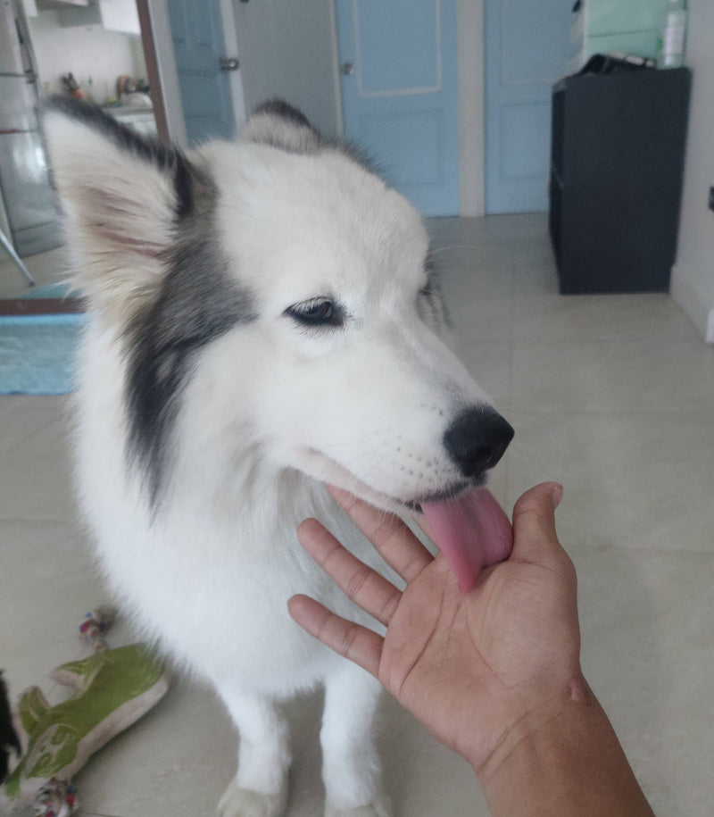 Helped with separation stress