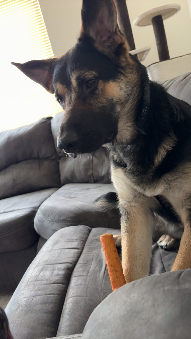 Didn’t think he’d actually sit still