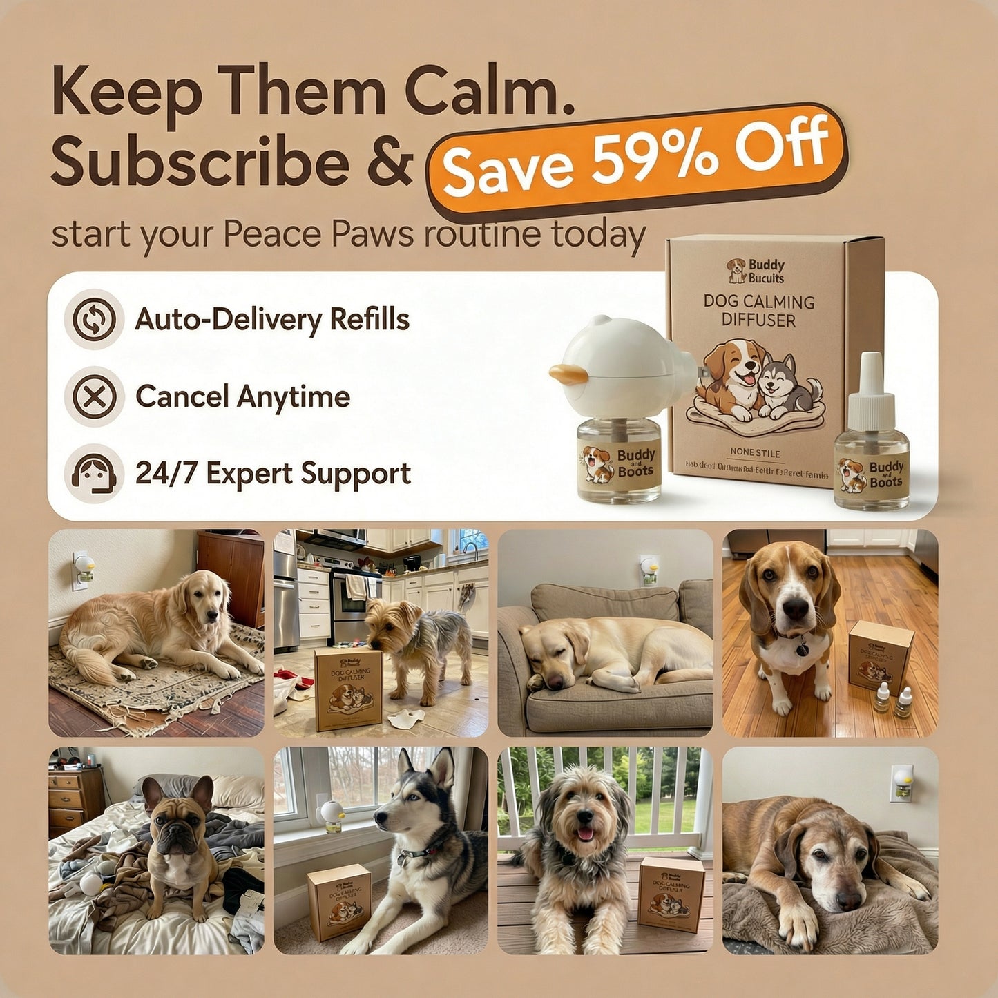 PeacePaws For Dogs