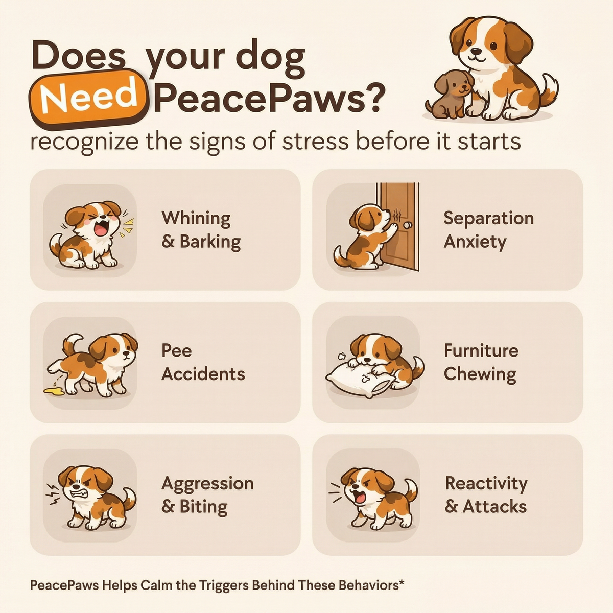 PeacePaws For Dogs