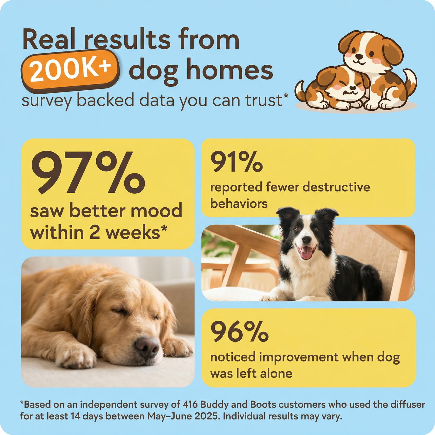 PeacePaws For Dogs