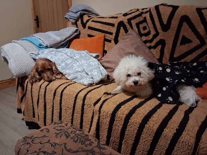 Helped both of our dogs
