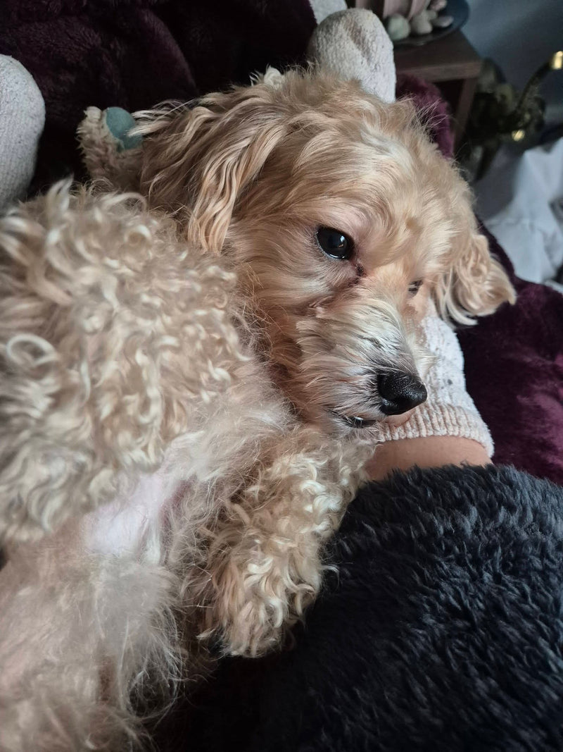 My little guy finally relaxes