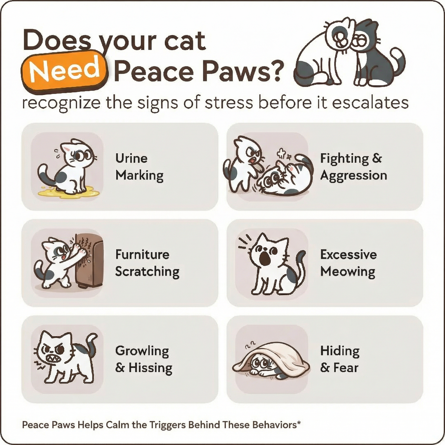 PeacePaws For Cats