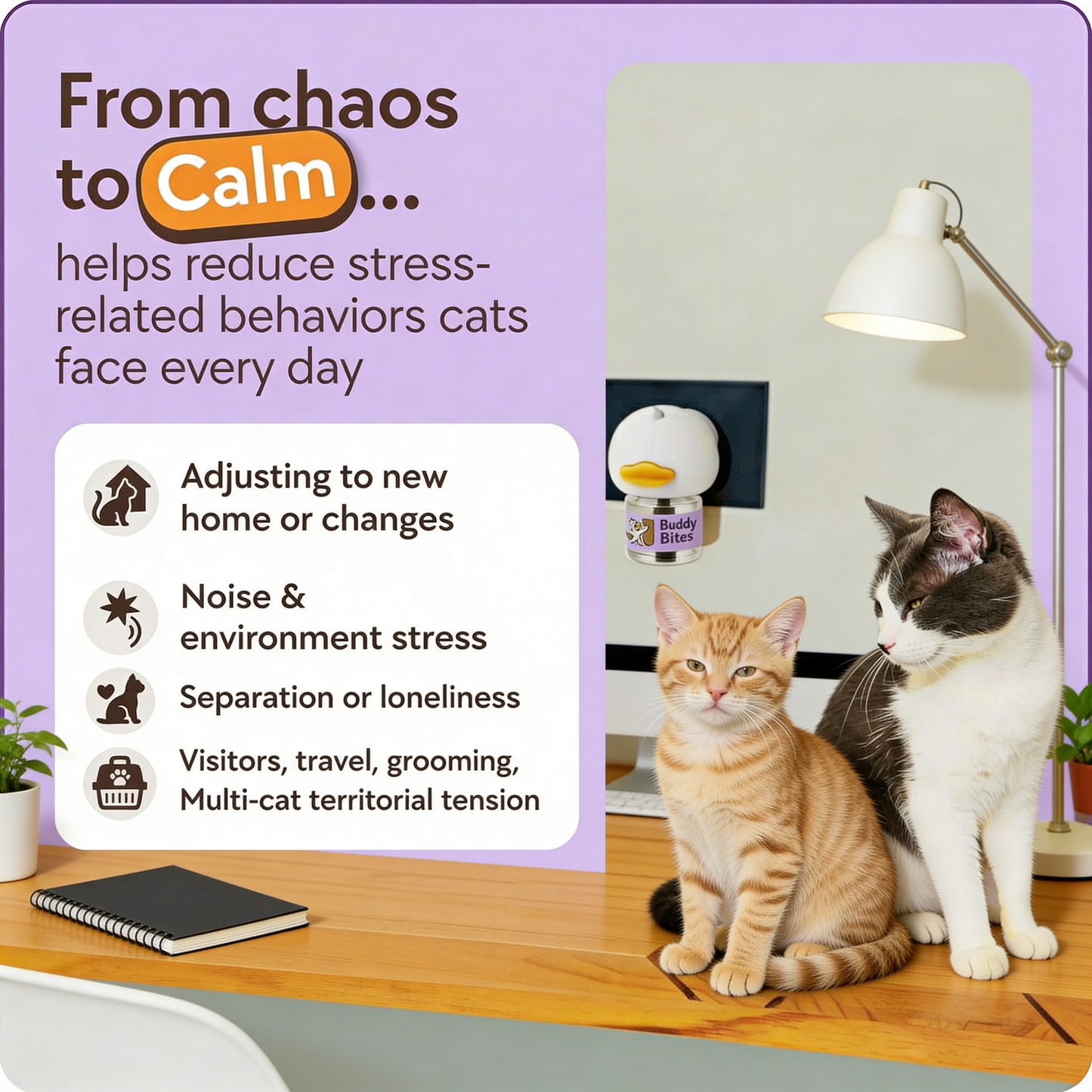 PeacePaws For Cats
