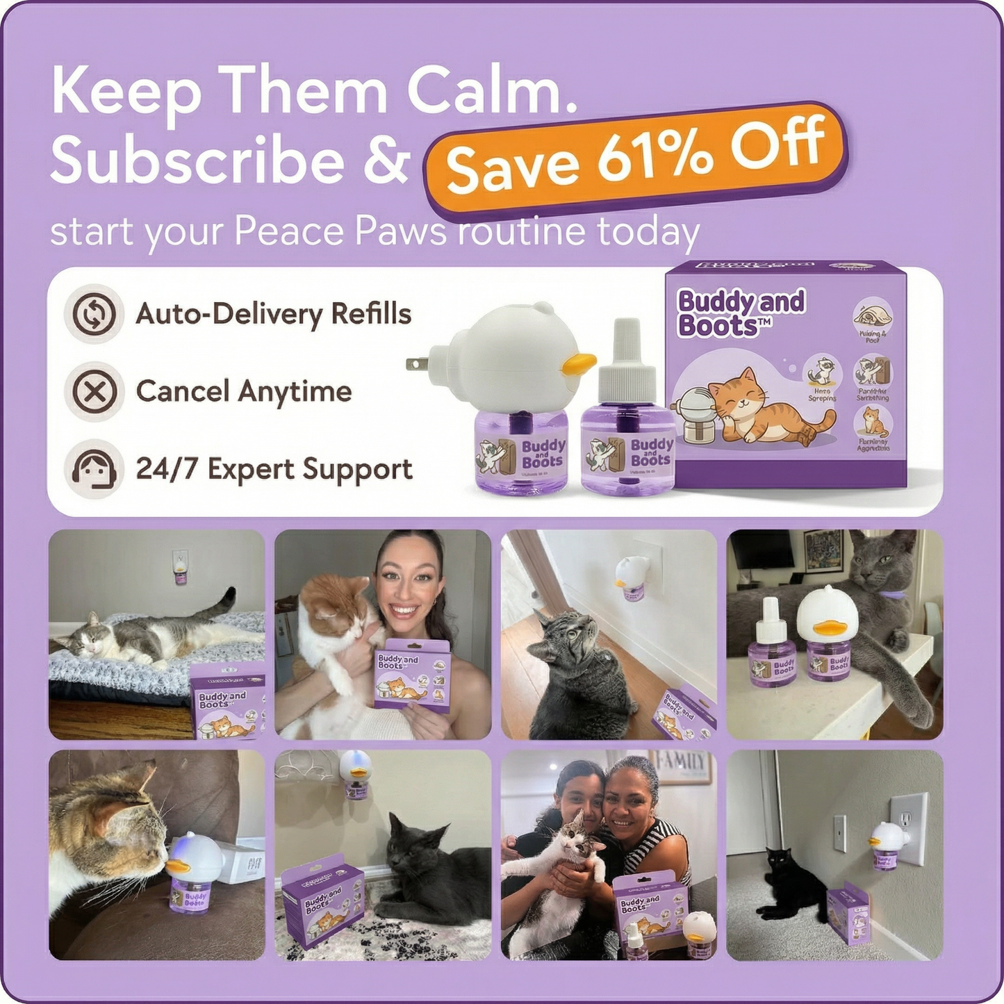 PeacePaws For Cats