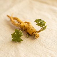 Goldenseal